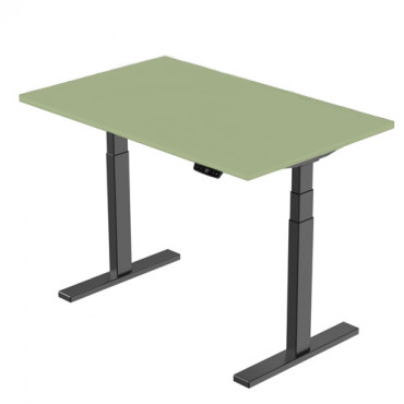Profesionalus reguliuojamo aukščio stalas su stalviršiu 150cm x 70cm