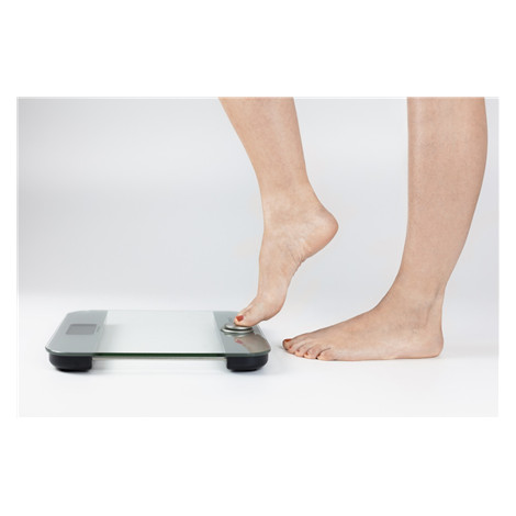 Caso Body Energy Ecostyle personal scale 3416 Maximum weight (capacity) 180 kg, Accuracy 100 g, White/Grey, Without batteries