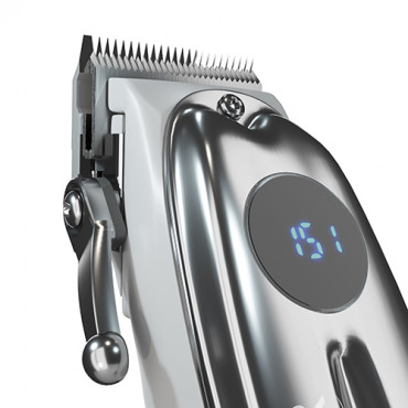 Adler Proffesional Hair clipper AD 2831 Cordless or corded, Number of length steps 6, Silver