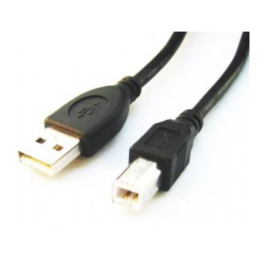 Cablexpert CCP-USB2-AMBM-6 1.8 m, Black, USB 2.0 A-plug B-plug cable