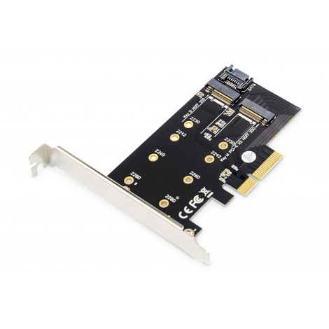 Digitus M.2 NGFF / NVMe SSD PCI Express 3.0 (x4) Add-On Card DS-33170