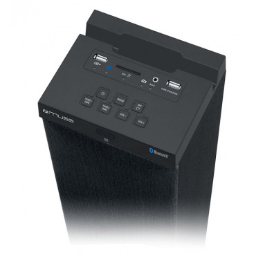 Muse M-1250BT 60 W, Black, Portable, Bluetooth, Wireless connection