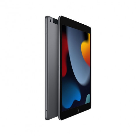 Apple iPad 10.2" 9th Gen Space Grey, Retina IPS LCD, A13 Bionic, 3 GB, 64 GB, Wi-Fi, 12 MP, 8 MP, Bluetooth, 4.2, iPadOS, 15, 16