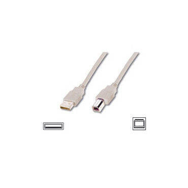 Logilink USB 2.0 connection cable USB A male, USB B male, 5 m, Grey