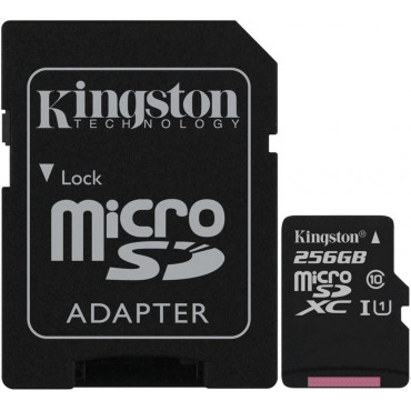 KINGSTON 256GB micSDXC...