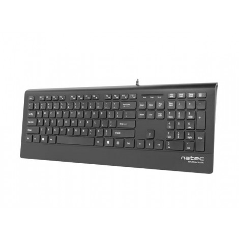 Natec Keyboard, Barracuda, US Layout, Slim