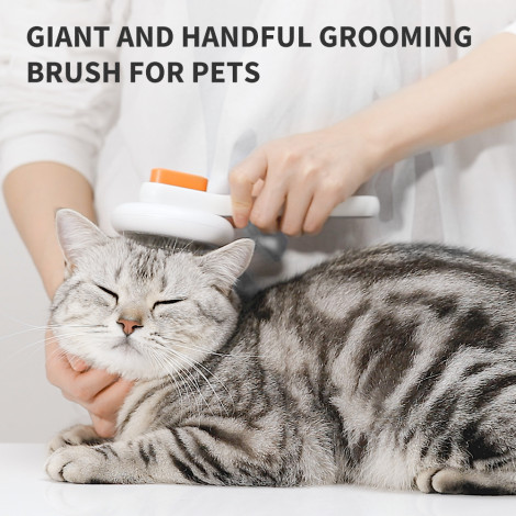 PETKIT Large Grooming Brush White