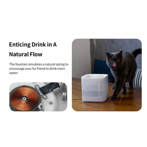 PETKIT Drinking Fountain Eversweet Solo SE Capacity 1.8 L, Filtering, White, Wireless Pump