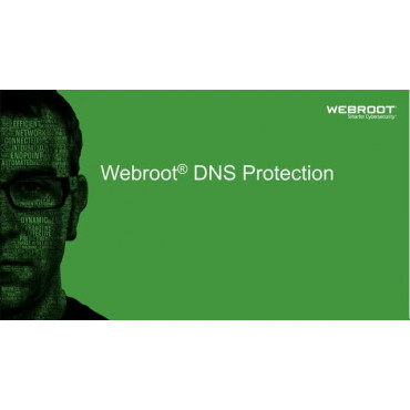 Webroot DNS Protection with GSM Console, 2 year(s), License quantity 1-9 user(s)