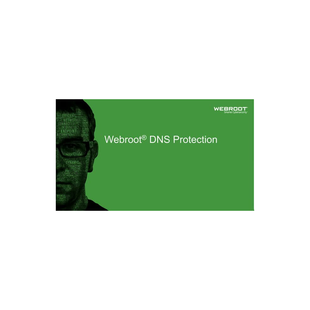 Webroot DNS Protection with GSM Console, 2 year(s), License quantity 1-9 user(s)