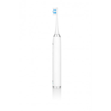 ETA Sonetic Toothbrush ETA570790000 Rechargeable, For adults, Number of brush heads included 3, Number of teeth brushing modes 4