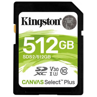 KINGSTON 256GB UHS-I SD Memory Card (Class 10)