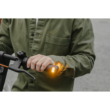 Ninebot by Segway Kickscooter F2 Pro E, Black Segway Kickscooter F2 Pro E Up to 25 km/h 10 " Black