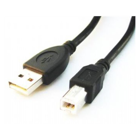 USB 2.0 A-plug B-plug 3 m (10 ft) cable with ferrite core Gembird