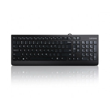 Lenovo USB Keyboard 300 Standard Wired Complete ergonomic design. Spill resistant keys with board drain. Concaved key caps fitte