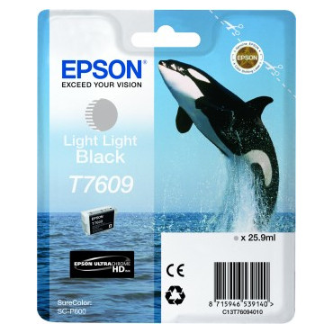 Epson Ink Cartridge Light Light Black