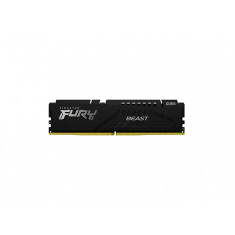 Kingston | 16 GB | DDR5 | 6000 MHz | PC/server | Registered No | ECC No