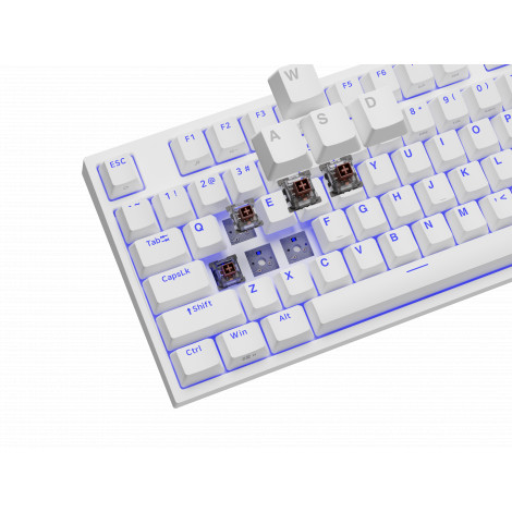 White | Mechanical Gaming Keyboard | THOR 404 TKL RGB | Genesis | Mechanical Gaming Keyboard | Wired | US | USB Type-A | 1005 g 