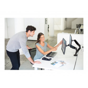 Fellowes arm for 2 monitors - Platinum black