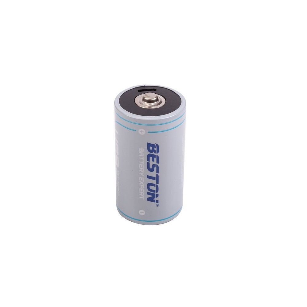 Baterija D įkraunama su USB-C lizdu, 1.5V, 4000mAh, Li-Ion