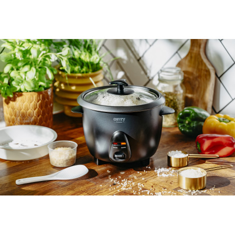 Camry Rice Cooker | CR 6419 | 400 W | 1 L | Number of programs 2 | Black