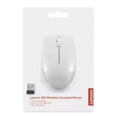 LENOVO 300 Wireless Compact Mouse Cloud