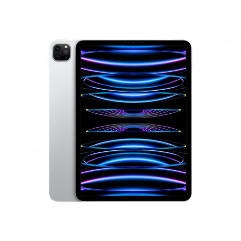 iPad Pro 11" Wi-Fi 1TB - Silver 4th Gen | Apple