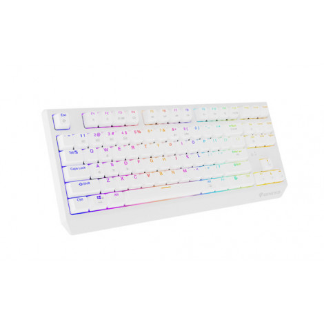 THOR 230 | Mechanical Gaming Keyboard | Wireless | US | White | 2.4 GHz, Bluetooth, USB | Outemu Red