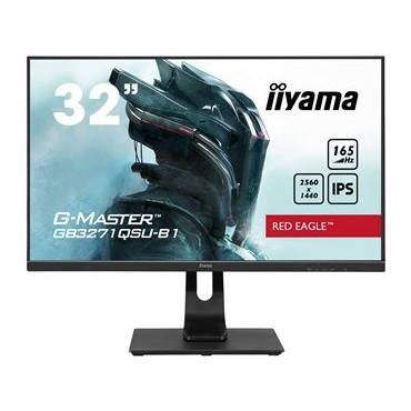 IIYAMA G-Master...