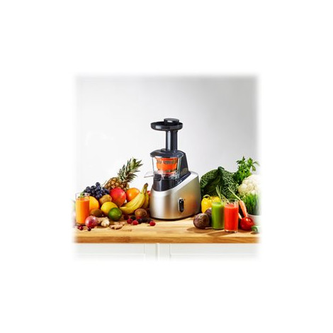 TEFAL | Slow Juicer | ZC255B38 | Type Electric | Silver/ black | 200 W | Extra large fruit input | Number of speeds 2 | 82 RPM