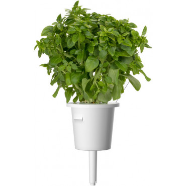 Click and Grow Smart Garden...