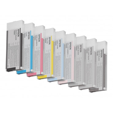 Epson T606700 | Ink Cartridge | Light Black