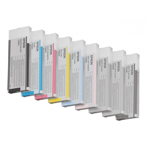 Epson T606700 | Ink Cartridge | Light Black