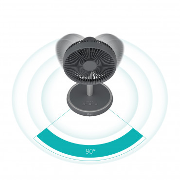 Duux Fan | Rize Flex | Stand Fan | Grey | Diameter 21 cm | Number of speeds 4 | Oscillation | 10 W | No