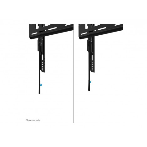 Neomounts LEVEL-750 WL30-750BL14 Fixed heavy duty wall mount - 32-75" screen - max 100 kg - VESA 100x100-400x400 - d 4,2 cm - le