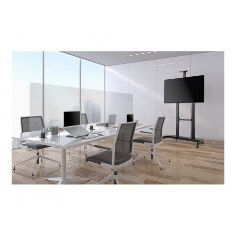 Neomounts NSLS075BLACK Laptop stand - 10-16" - max 5 kg - 5 height positions - foldable - compact - universal - black | Neomount