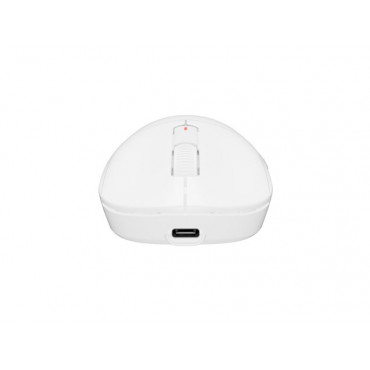 Fury Gaming Mouse | Tanto T4 | Wired/Wireless | 2.4 GHz, Bluetooth, USB | White