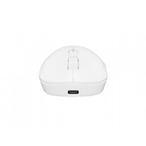 Fury Gaming Mouse | Tanto T4 | Wired/Wireless | 2.4 GHz, Bluetooth, USB | White