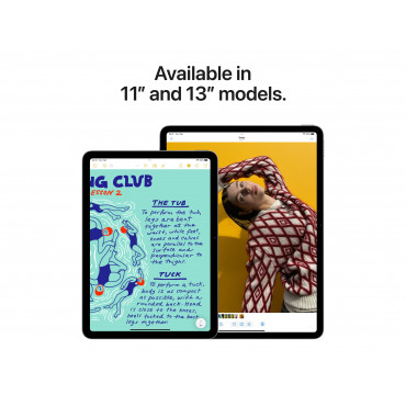 Apple iPad Air 13" Apple M3 Wi-Fi + Cellular 512GB - Space Grey | Apple