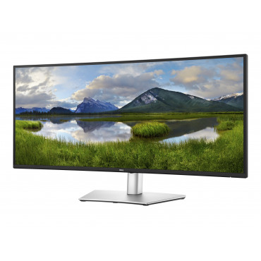 Dell LCD P3425WE 34" IPS WQHD/3440x1440/HDMI,DP,USB,USB-C/Black,Silver