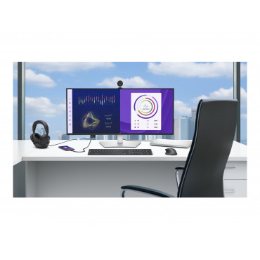 Dell LCD P3425WE 34" IPS WQHD/3440x1440/HDMI,DP,USB,USB-C/Black,Silver