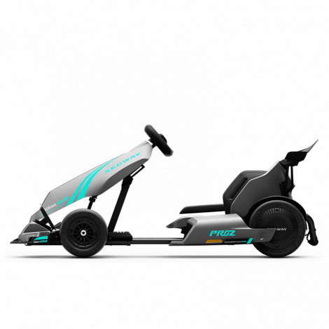 Segway GoKart Pro 2 | 43 km/h