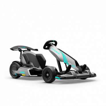 Segway GoKart Pro 2 | 43 km/h