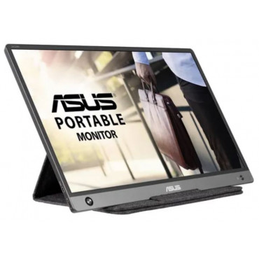 ASUS MB16AHP 15.6inch...