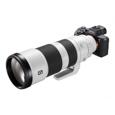 Sony FE 200-600mm F5.6-6.3 G OSS | Sony | FE 200-600mm F5.6-6.3 | Sony E-mount