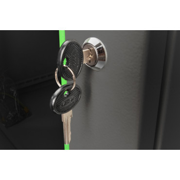 Digitus Wall Mounting Cabinet | DN-19 09-U-EC-SW | Black