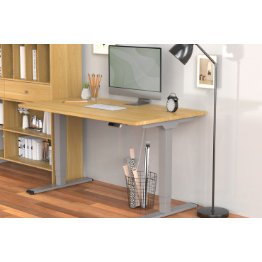 Digitus Floor stand | DA-90435 Electrical Table Frame | Height adjustment | Maximum weight (capacity) 100 kg | Grey