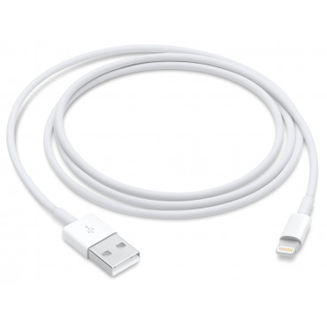 Apple Lightning to USB Cable (1m) | Apple