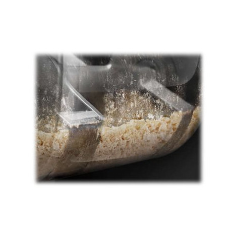 Philips Pasta Maker | HR2665/96 | 200 W | Number of speeds 1 | Bowl capacity 0.8 L | Black