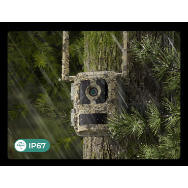Reolink | 4K 4G Cellular Trail Camera with Live Streaming | Talon Series S130 | Trail | 8 MP | 4mm/F1.6 | IP67 | H.265 | MicroSD
